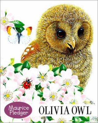 Olivia Owl