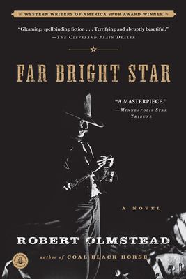 Far bright star : a novel