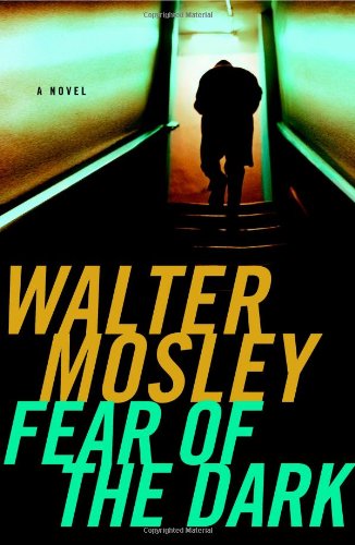 Fear of the dark : a novel
