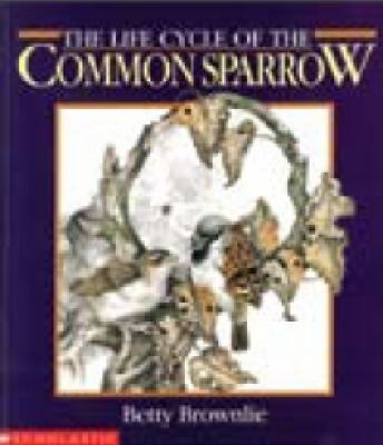 The life cycle of the common sparrow