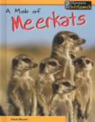 A mob of meerkats