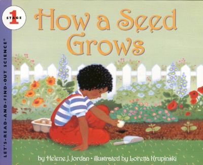 How a seed grows