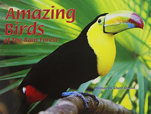 Amazing birds of the rain forest