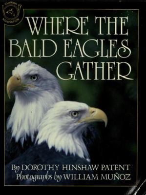 Where the bald eagles gather