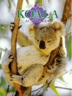 Koala Australia