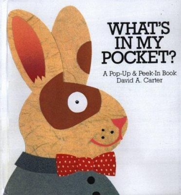 What's in my pocket? : a pop-up & peek-in book