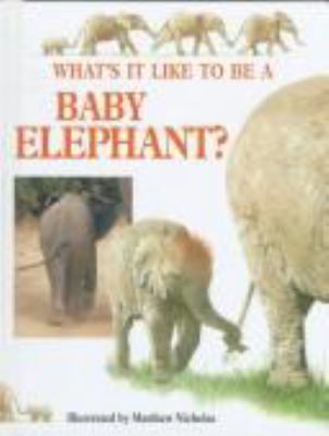 What's it like to be a baby elephant?