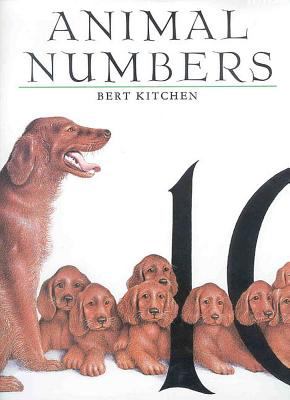 Animal numbers