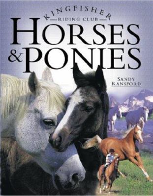 Horses & ponies