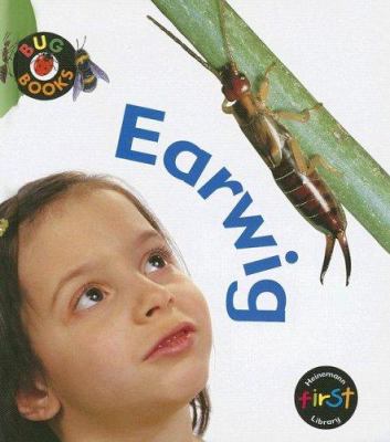 Earwig