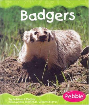 Badgers