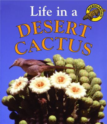 Life in a desert cactus