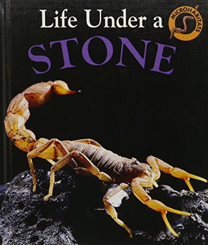 Life under a stone