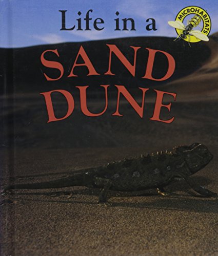 Life in a sand dune