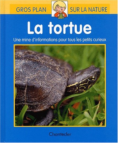 La tortue