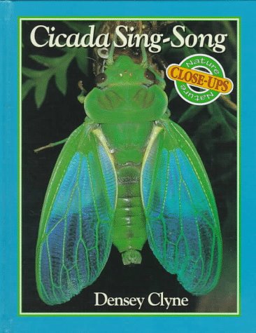 Cicada sing-song