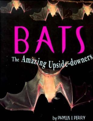 Bats : the amazing upside-downers