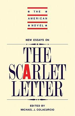 New essays on The scarlet letter