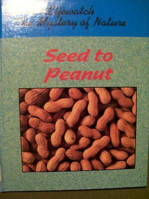 Seed to peanut