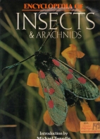 Encyclopedia of insects & arachnids