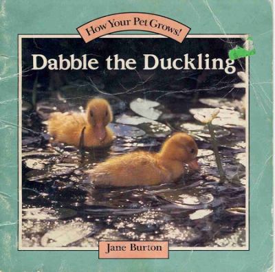 Dabblet the duckling