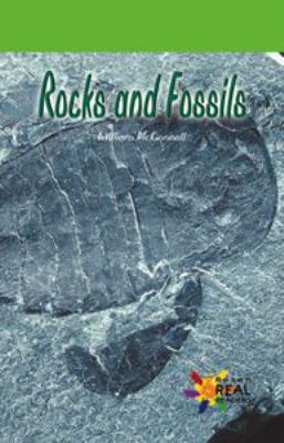 Rocks and fossils