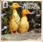 Animal friends