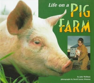 Life on a pig farm