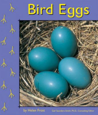 Bird eggs