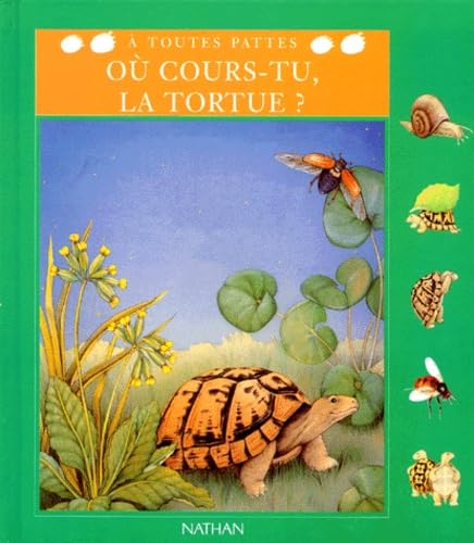 Où cours-tu, la tortue?