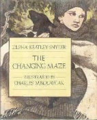 The changing maze