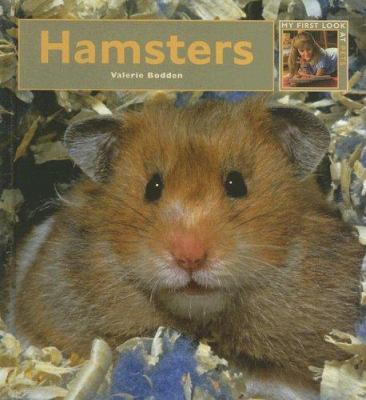 Hamsters