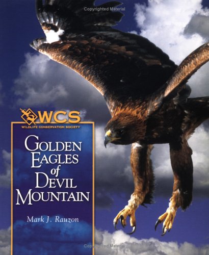 Golden eagles of Devil Mountain