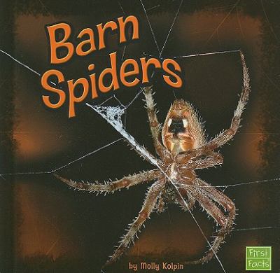 Barn spiders