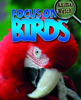 Focus on birds