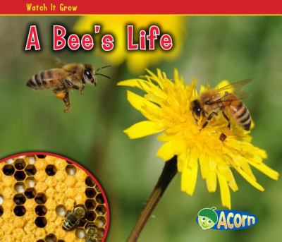 A bee's life