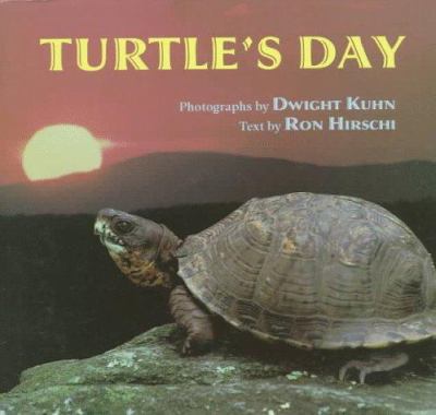 Turtle's day