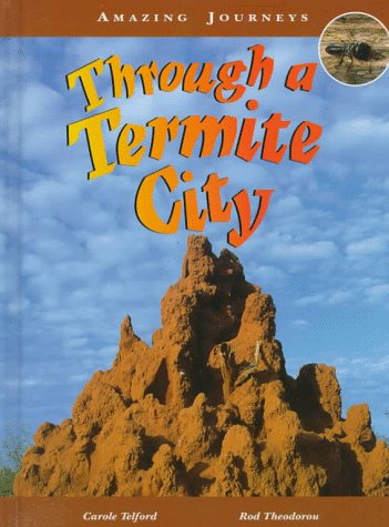 Through a termite city
