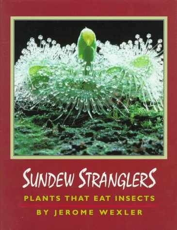 Sundew stranglers : plants that eat insects