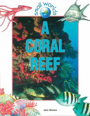 A coral reef