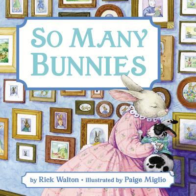 So many bunnies : a bedtime abc and counting book