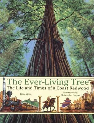 The ever-living tree : the life and times of a coast redwood
