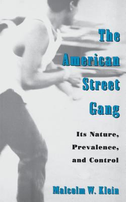 The American street gang : its nature, prevalence, and control