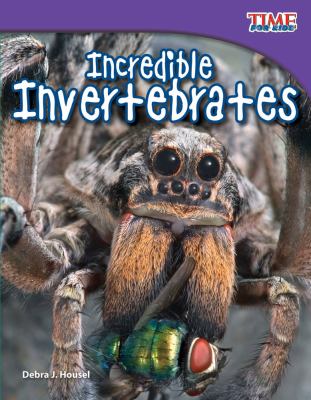 Incredible invertebrates