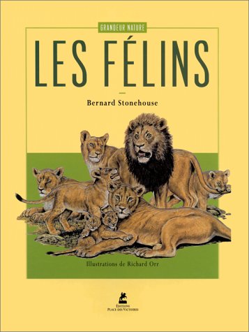 Les félins et les chats sauvages