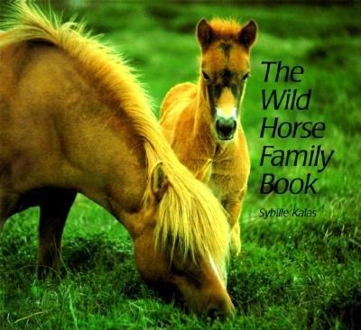 The wild horse family book