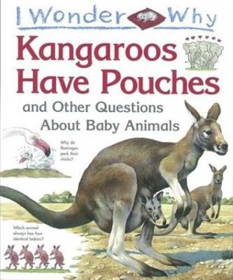 I wonder why kangaroos have pouches and other questions about baby animals