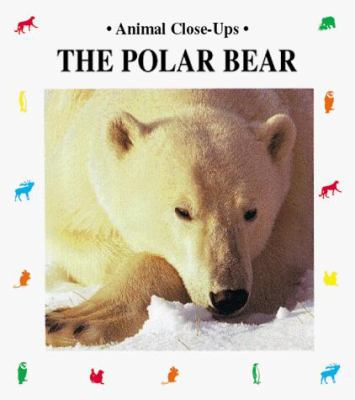 The polar bear, master of the ice