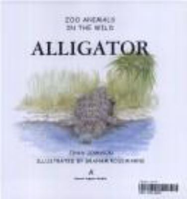 Alligator