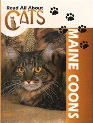 Maine coon cats